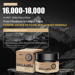 ROLI&ROLA Pure Himalayan Shilajit Resin – 50g | Gold Grade, Natural Energy & Vitality Booster