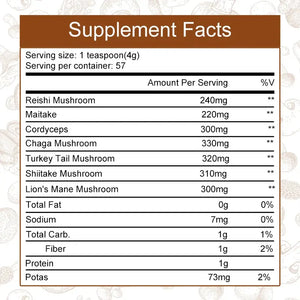 Mushroom Coffee Supplement 10 Mushroom Blend with Lion's Mane and Cordyceps wellvy wellness store