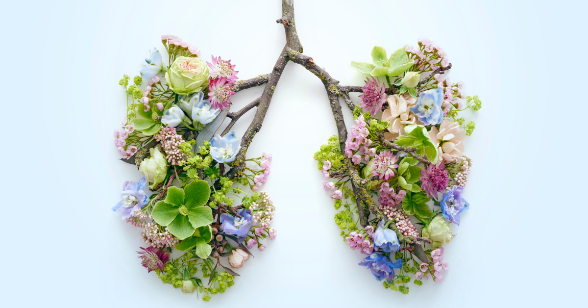 Googeer-Herbal-Lung-Cleansing-Spray-Natural-Mucus-Relief-Respiratory-Support wellvy wellness store