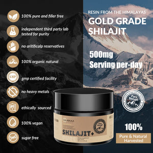 ROLI&ROLA Pure Himalayan Shilajit Resin – 50g | Gold Grade, Natural Energy & Vitality Booster