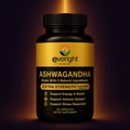 Everight Ashwagandha Complex – 5200mg 5-in-1 Energy, Stress & Immune Support wellvy wellness store