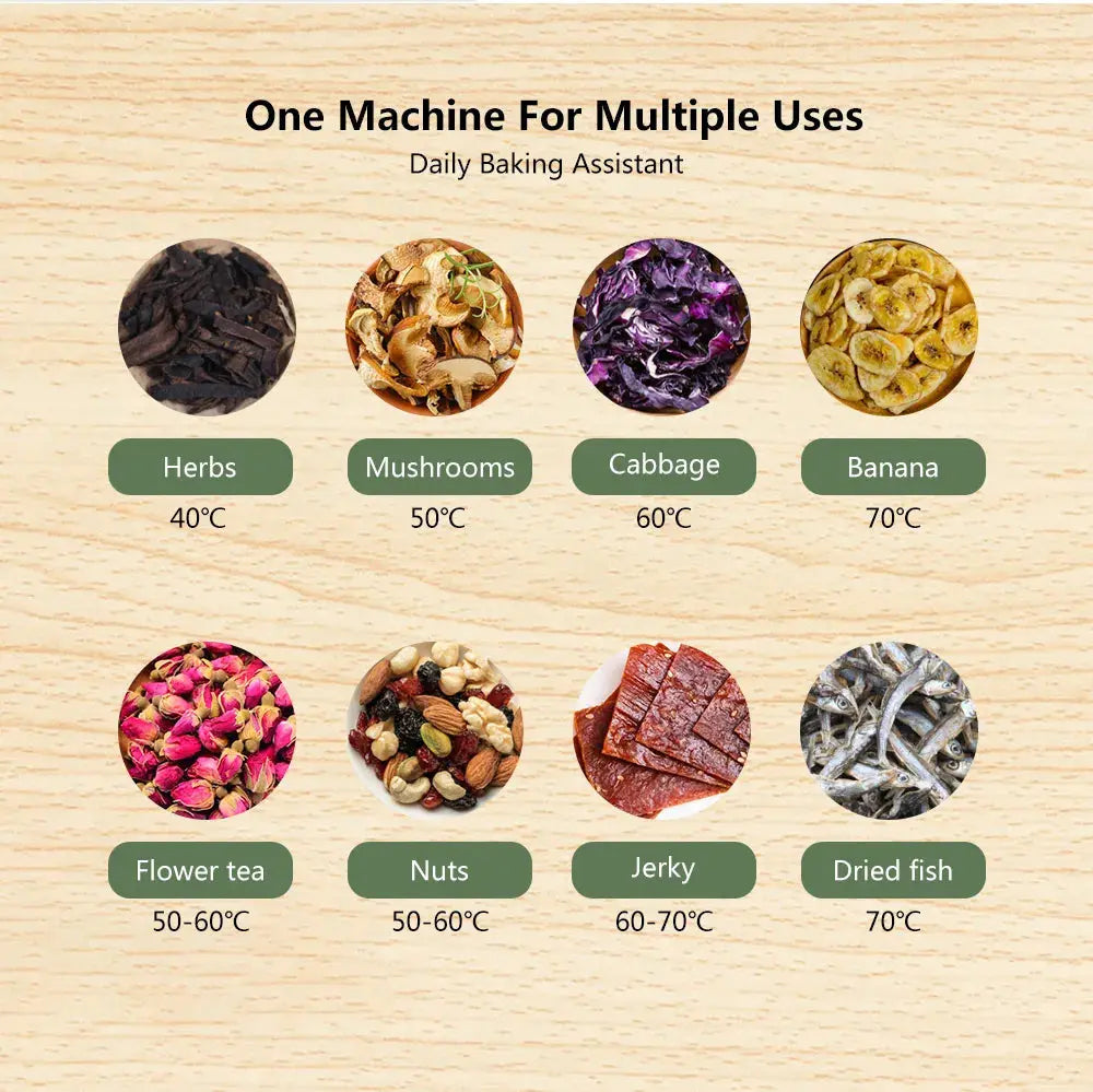 BioloMix Food Dehydrator - wellvy wellness store