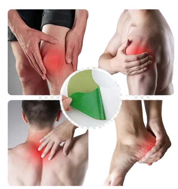 KanyeHB Wormwood Pain Relief Patches – Herbal Joint & Muscle Support for Knees, Arthritis & Stress Relief WELLVY wellness products Estore