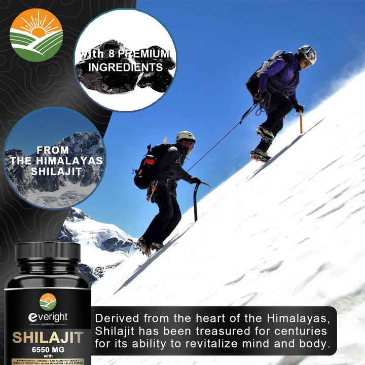 Everight Himalayan Shilajit Resin Capsules 