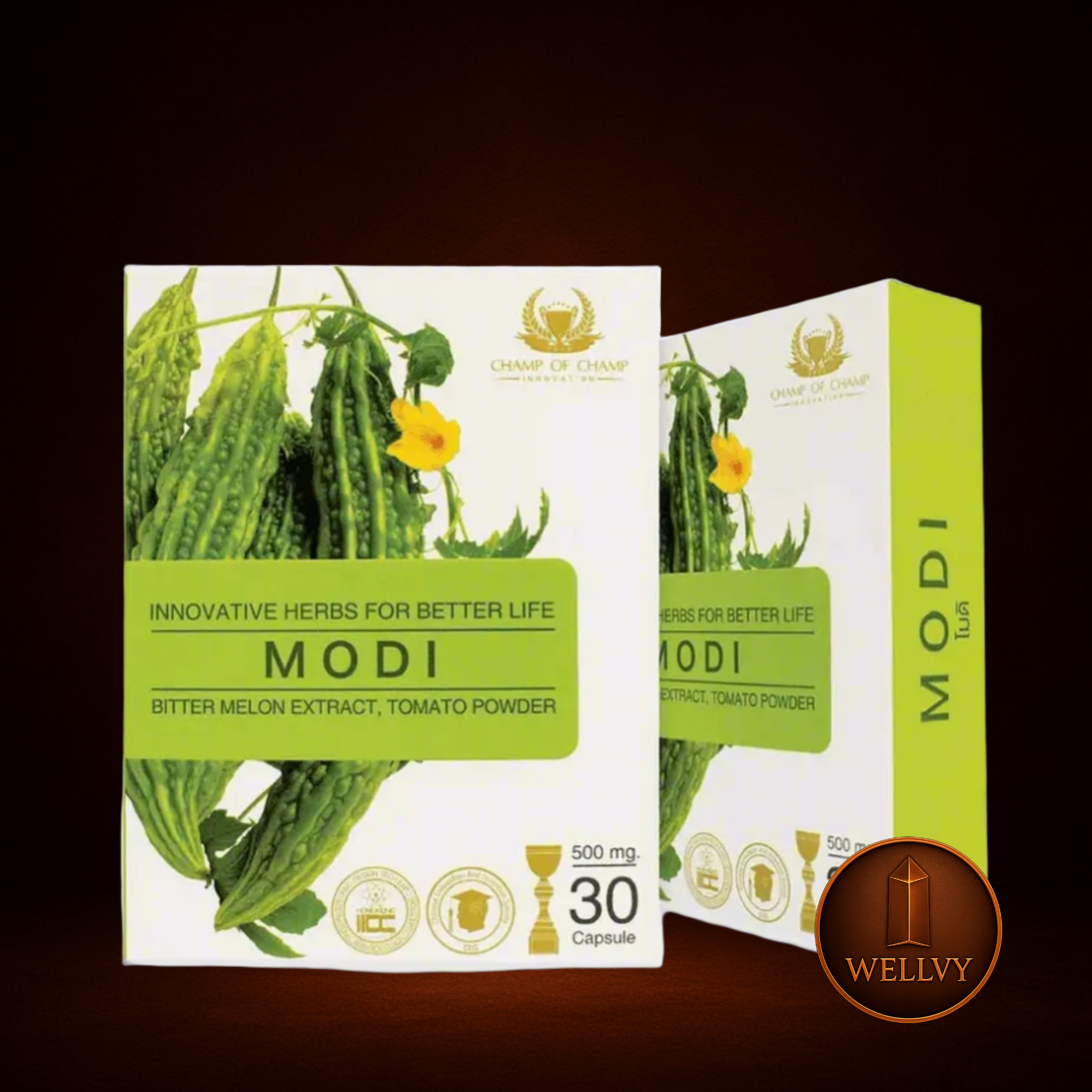 Modi Diabetes Care Herbs with Momordica Charantia – Natural Support for Blood Sugar Management WELLVY