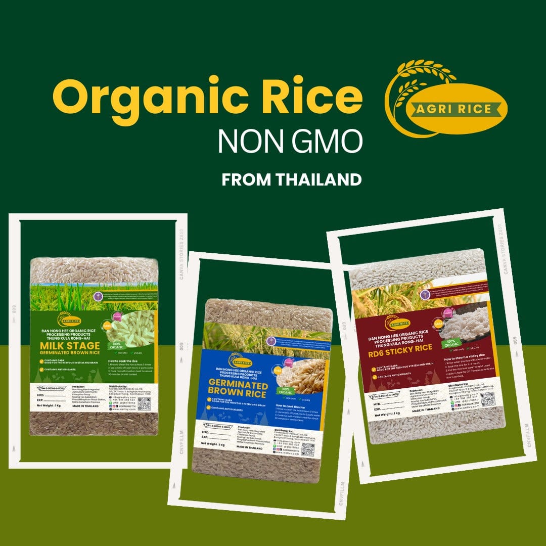 Agri Rice Varieties - Germinated, Milk Stage, Sticky Rice RD6 - 1Kg ...