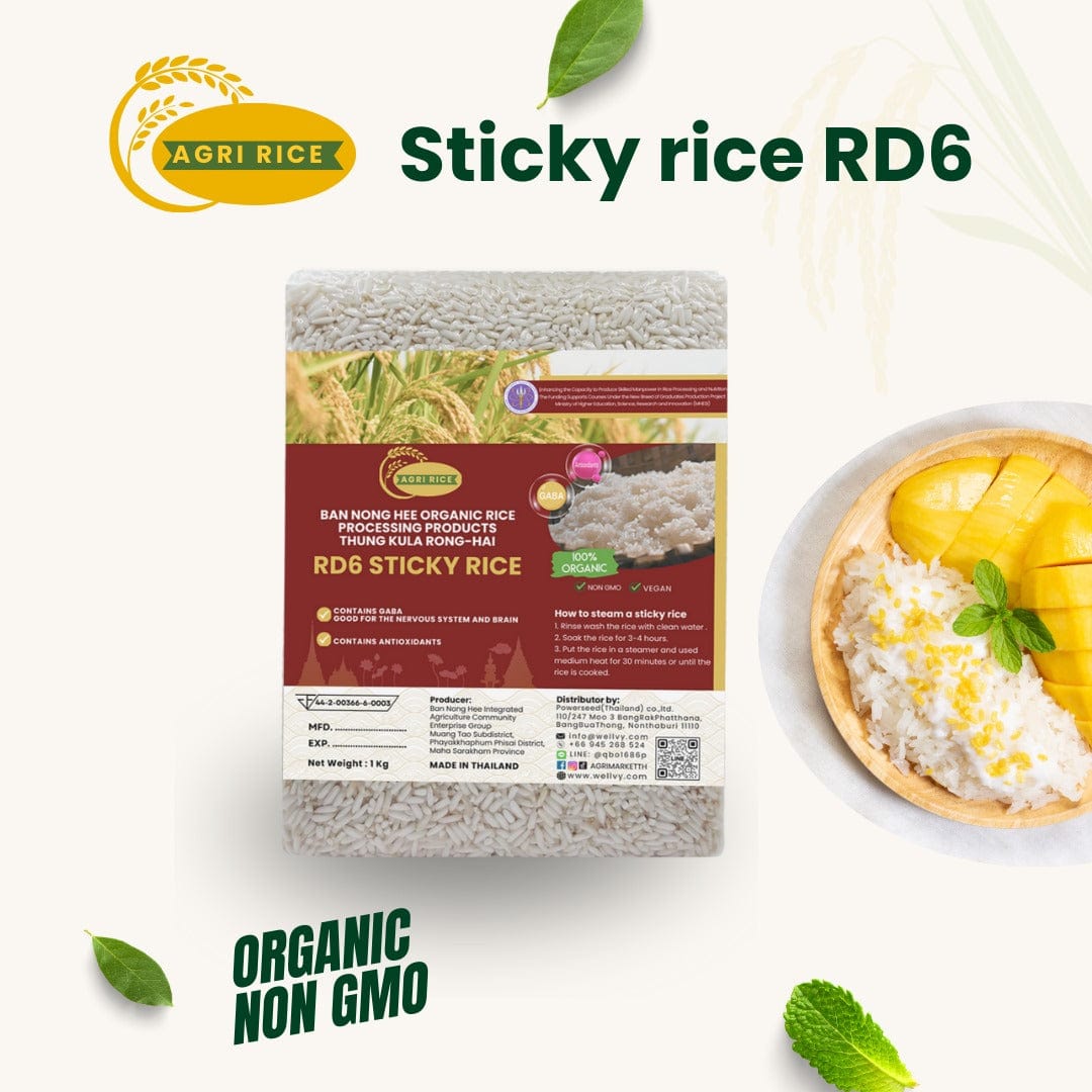 Stcky Rice Types Agri Rice Varieties - Germinated, Milk Stage, Sticky Rice RD6 - 1Kg ...