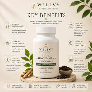 Wellvy Organic Ashwagandha with Black Pepper supplement bottle on a light background with text highlighting key benefits.