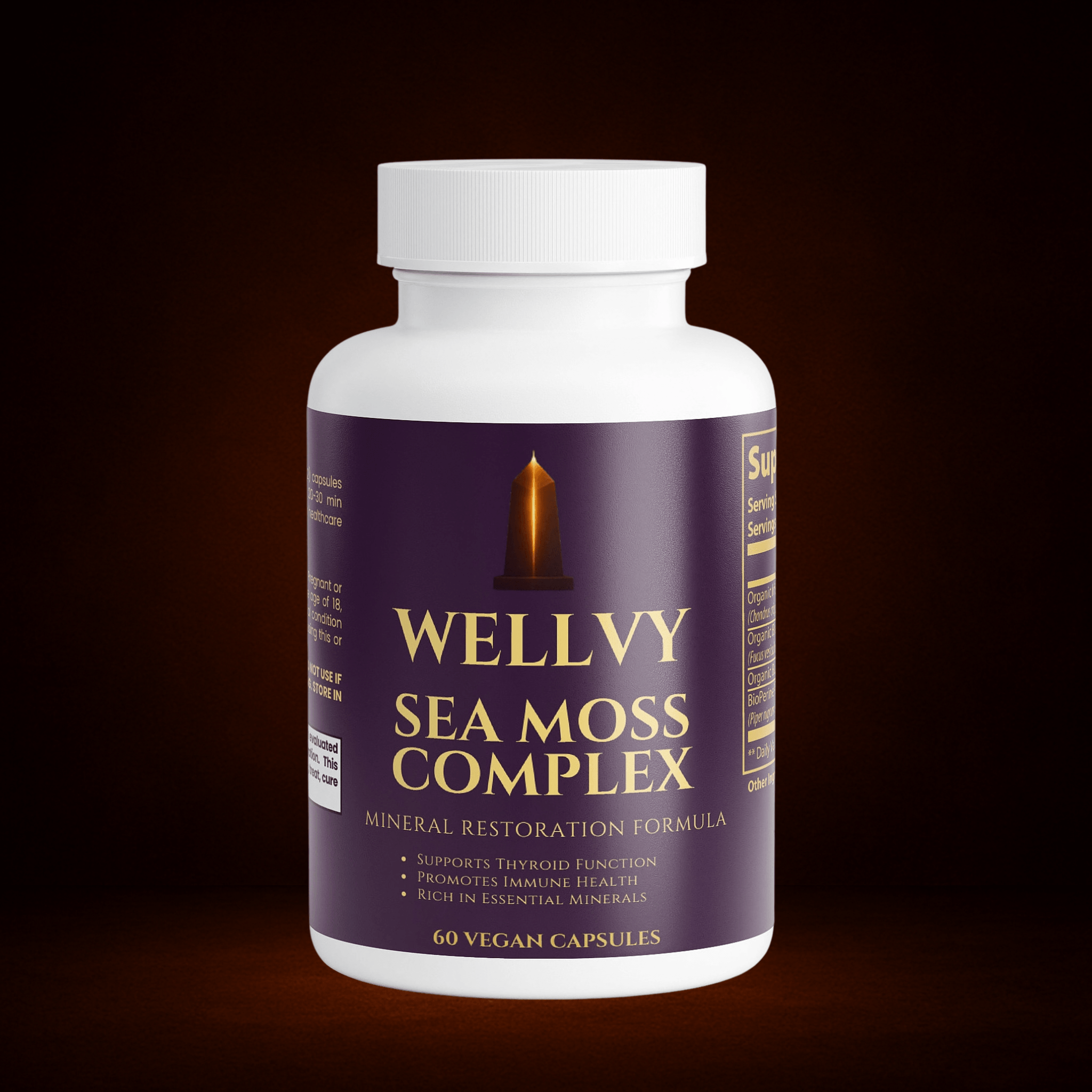 WELLVY SEA MOSS COMPLEX wellvy store